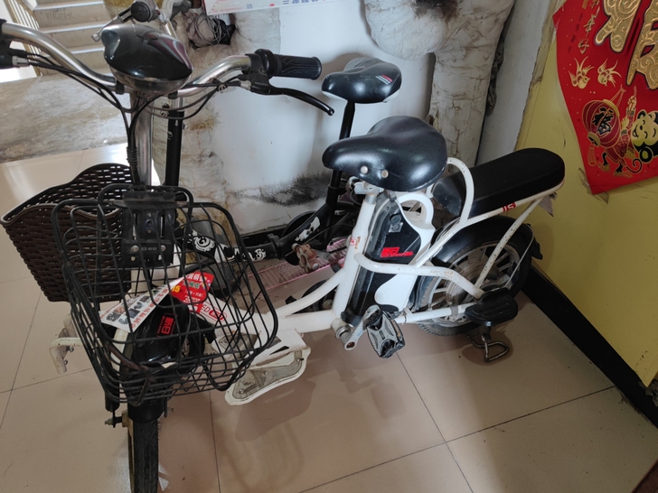 锂电电动车,新日牌