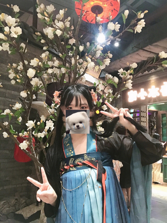 【正品拍下极速发货】重回汉唐南时叙汉服女唐...