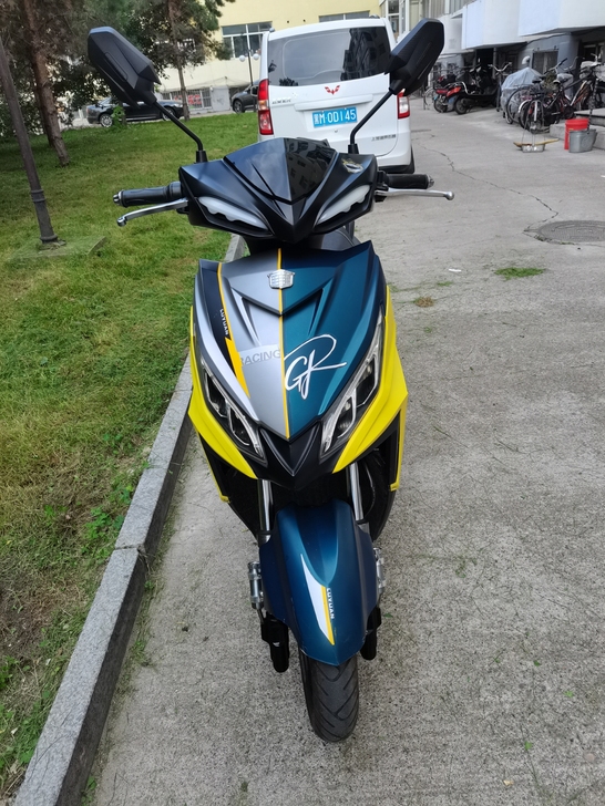 全新 豪华绿源电动车