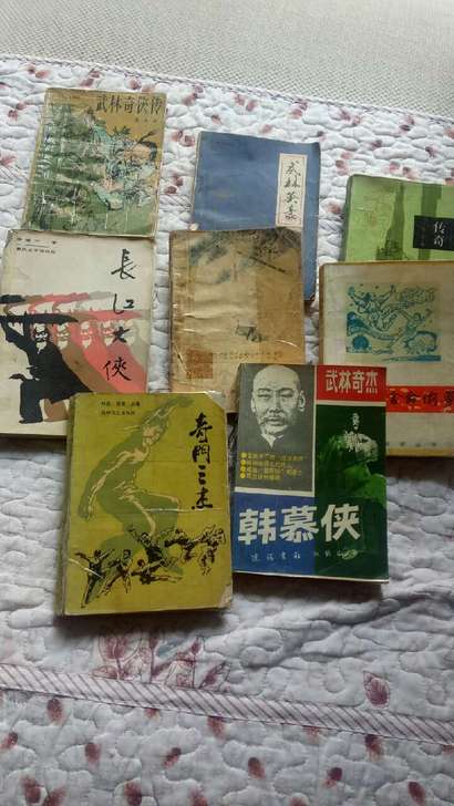 老武术家，南北大侠，长江大侠，纪实文学，不...