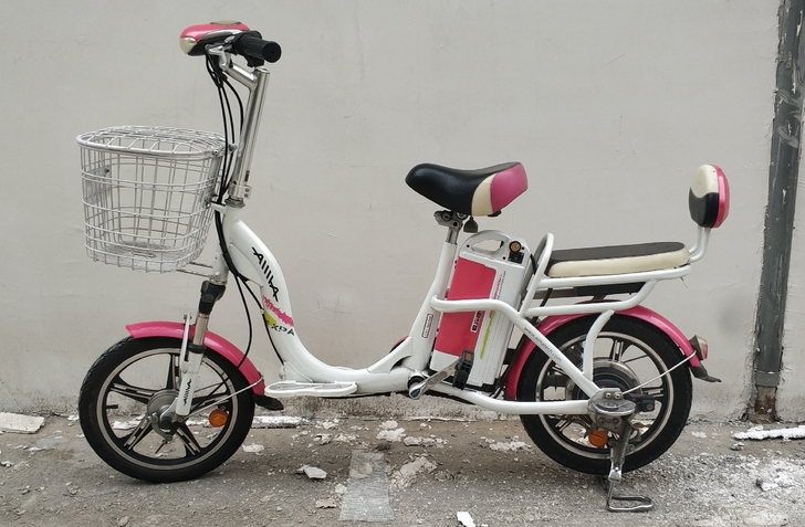 爱玛电动车,锂电池可拿下来充电,快两年了,...