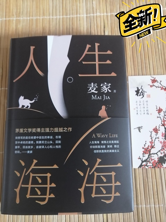 【现货】精装人生海海麦家著暗算风生茅盾文学...