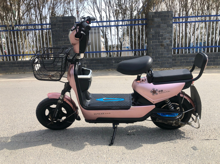 绿源电动车 新款 48v20a 能跑40公...