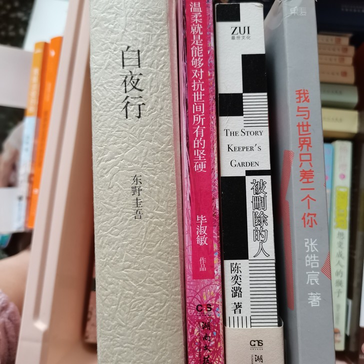 悬疑小说 心灵鸡汤书