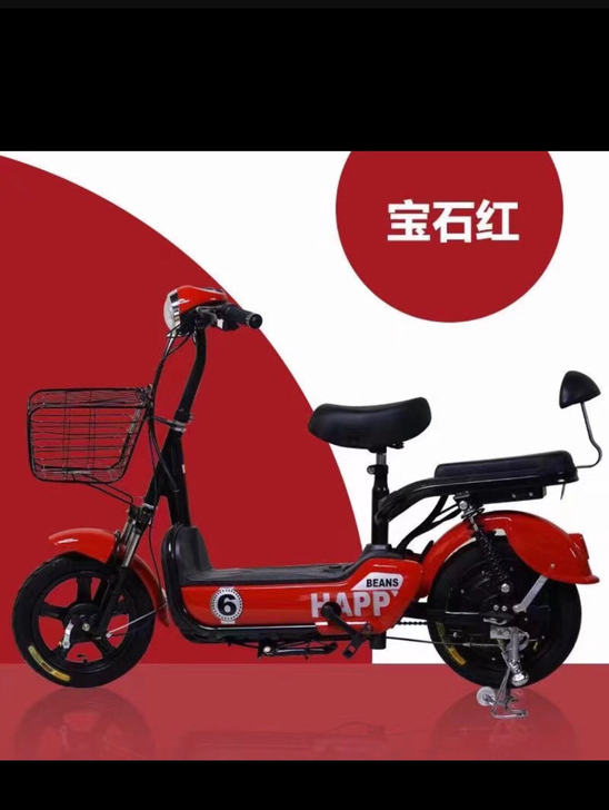 全新国标48v12安电动车    全新48...