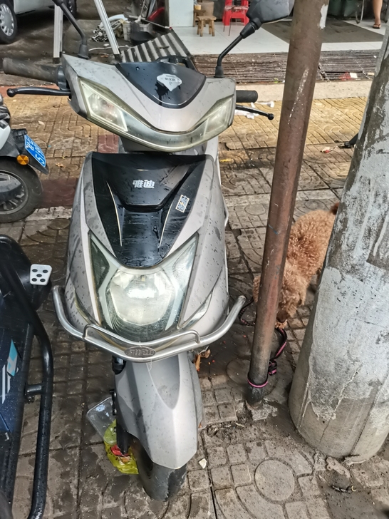 转雅迪电动车一台，合浦县当地看车