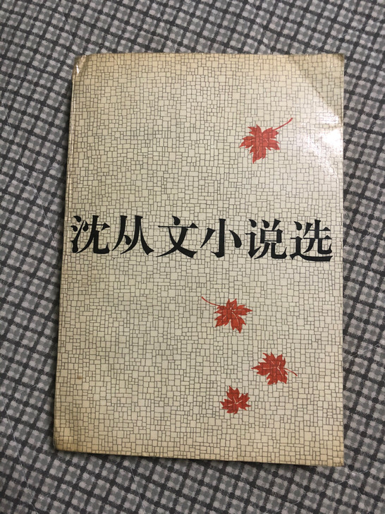 沈从文小说选(上册)