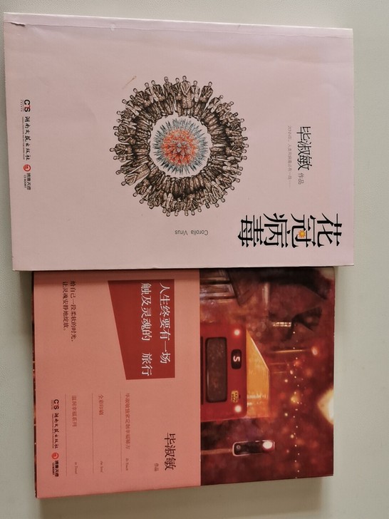 毕淑敏图书，两本分别是：人生终要有一场触及...