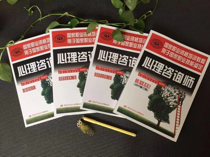 2021心理咨询师考试用书籍中科院心理学咨...