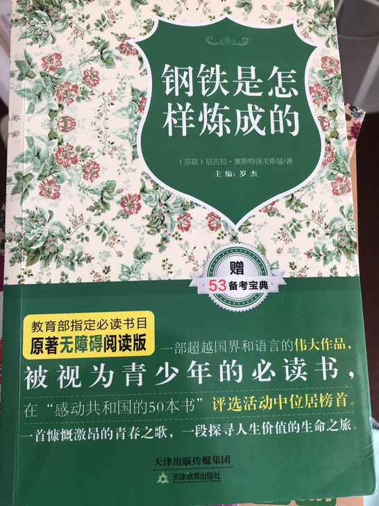 钢铁是怎样炼成的 尼古拉 奥斯特洛夫斯基著...
