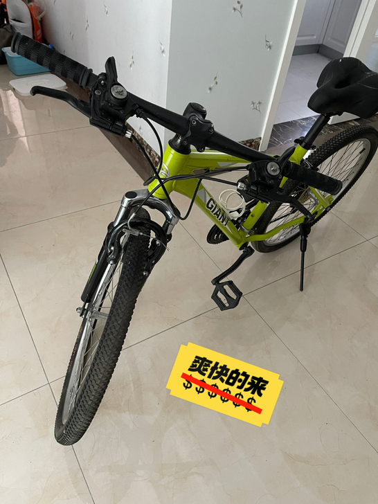 捷安特山地自行车，21变速，26寸。当初买...