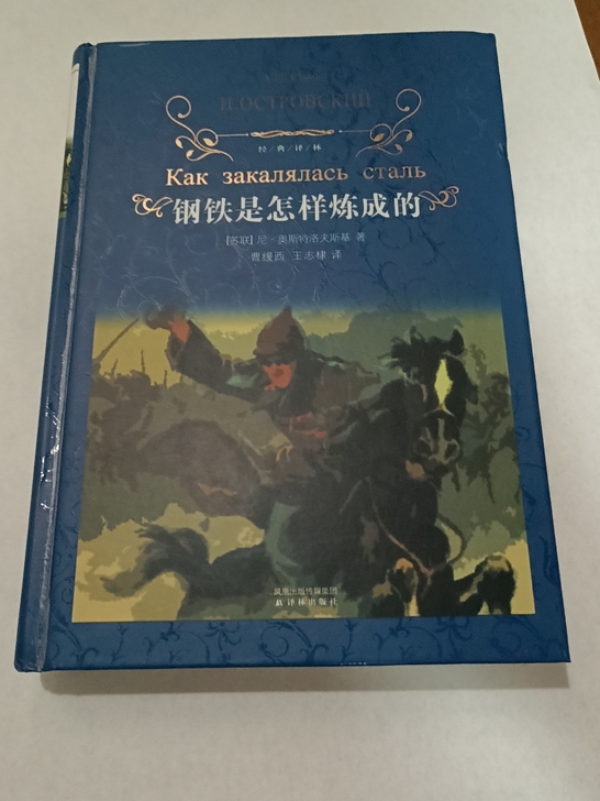 初中必读书目《钢铁是怎样炼成的》，译林出版...