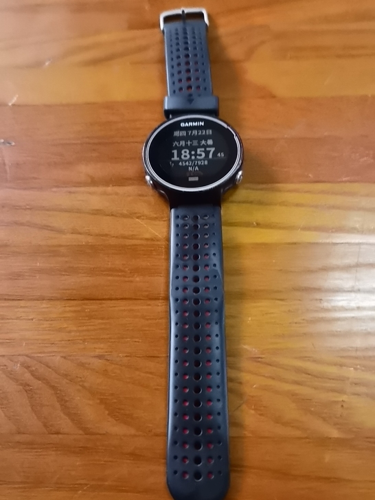 Garmin/佳明 户外功能手表