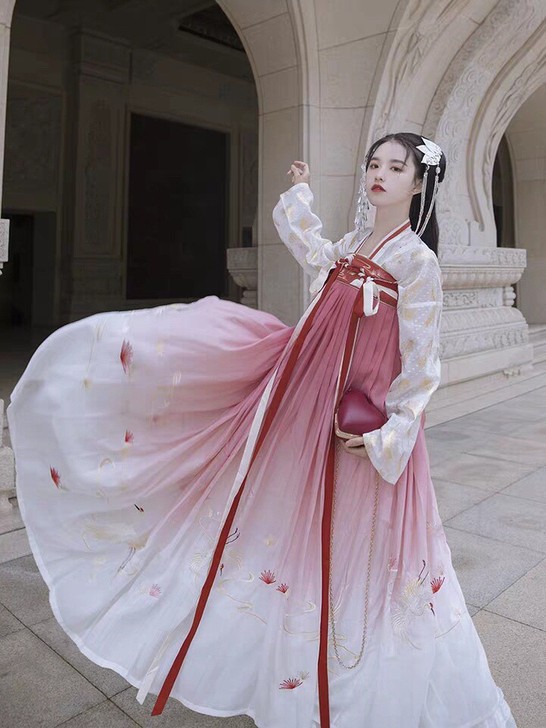 包邮重回汉唐鹤夜大袖衫汉服齐胸襦裙女披风外...