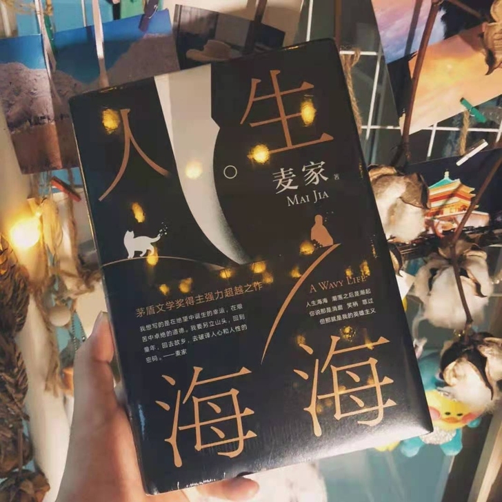 精装 人生海海 人生海海茅盾文学奖得主麦家...