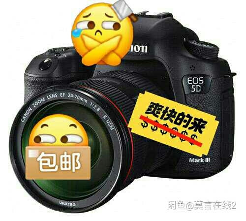 莫言在线     森林专属