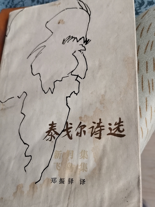 泰戈尔诗选