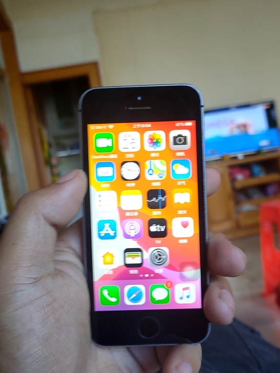 iPhone SE