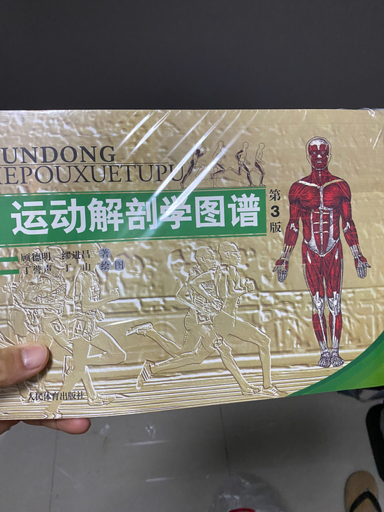 运动解剖学图谱修订第三版顾德明 人民体育出...