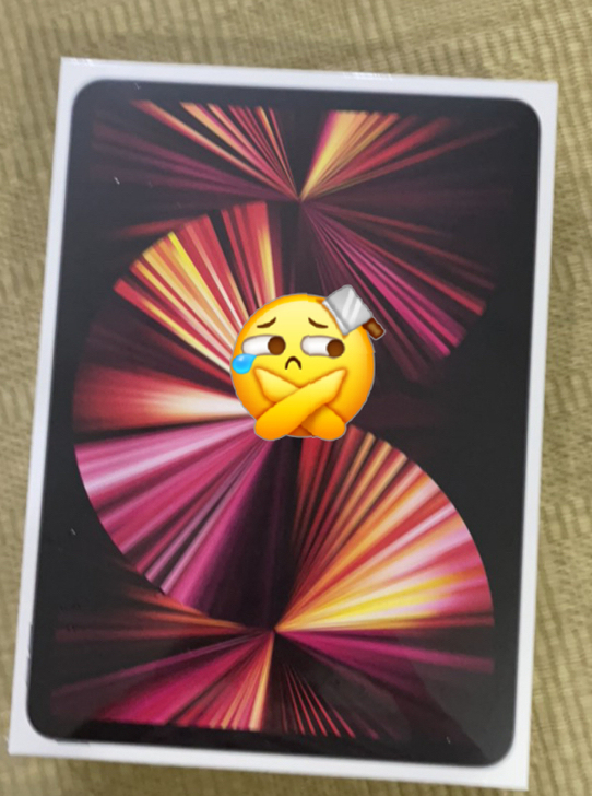 iPad Pro 2021 M1版本 12...