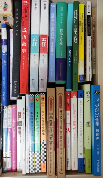 小说 散文 名著 随缘清理书柜