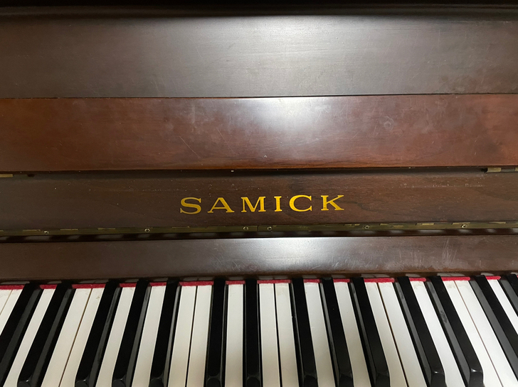 合肥蜀山区天鹅花园附近特价琴，香港琴，回弹...