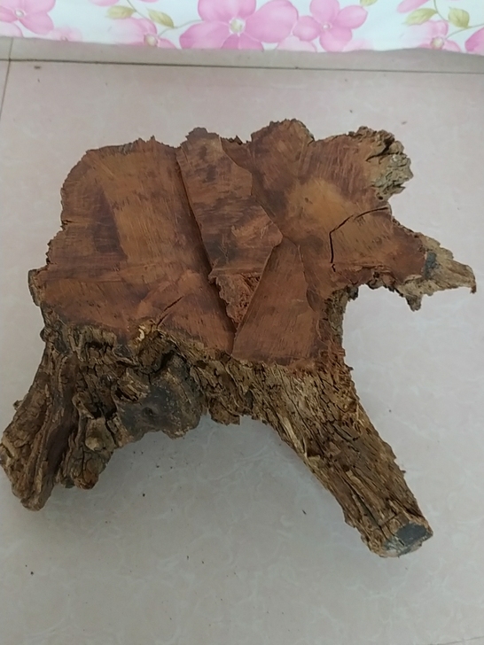 下乡收到一块老枣木，雷击木，百年的雷击红心...