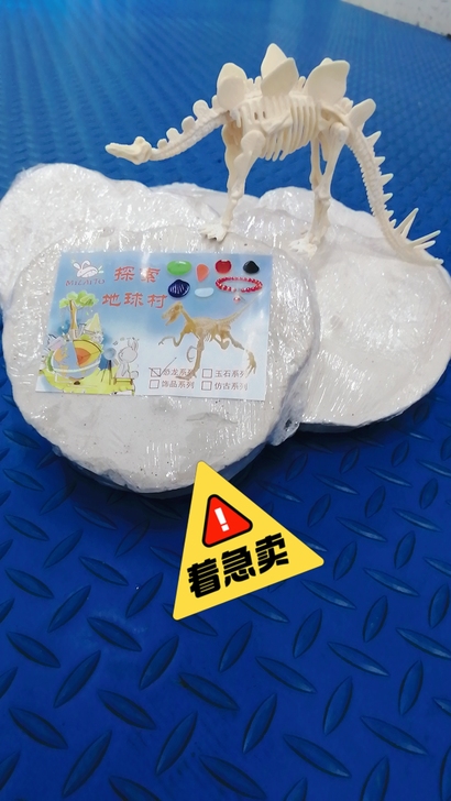 考古化石