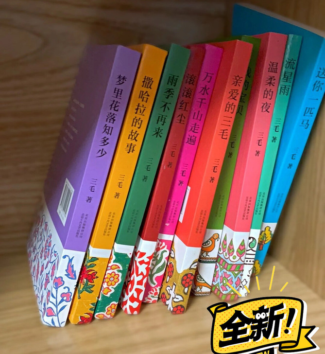任选三毛全集11册新版撒哈拉的故事雨季不再...