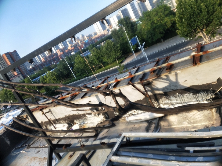 如图数杈，根雕，工艺，原来放店里做艺术，现...