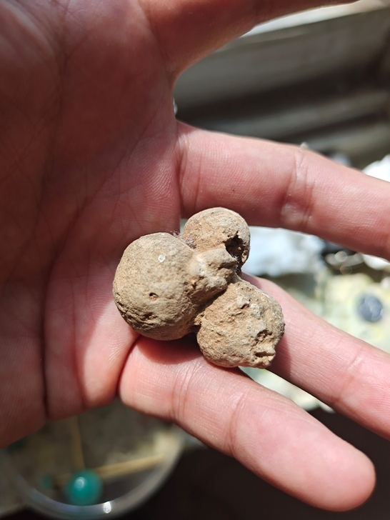 鸟蛋化石  标价总价  喜欢的可以拿回去研...