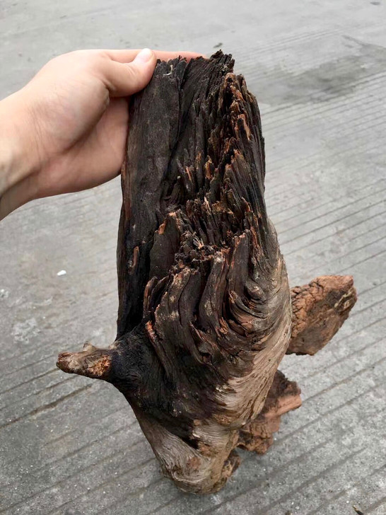 崖柏 全陈化崖柏 独根黑骨茬头 透皮香5....