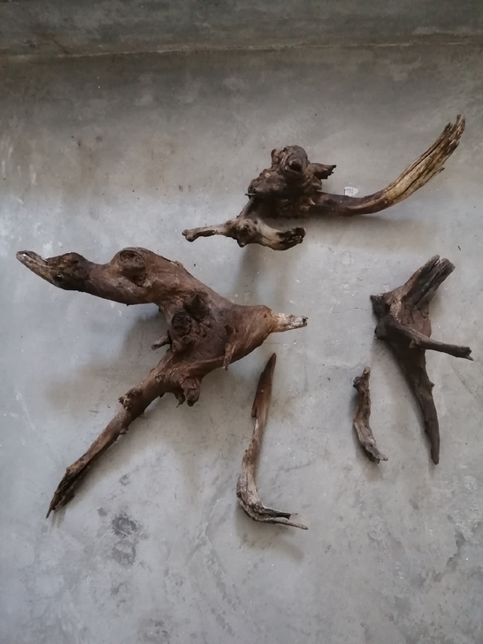 准备玩草缸的树根，大小10来个，小的长15...