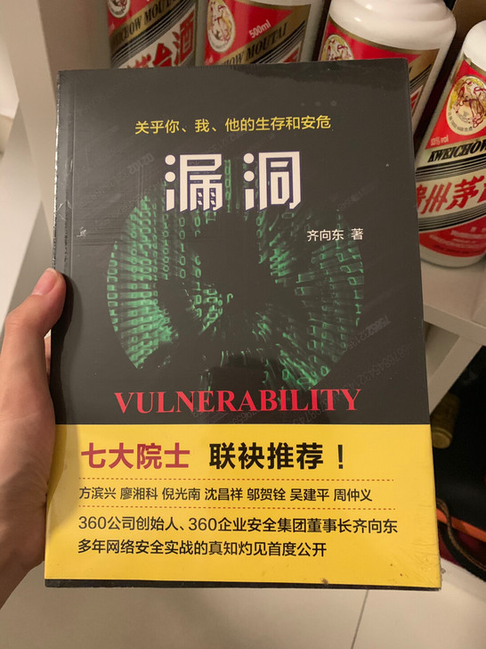 《漏洞》书籍