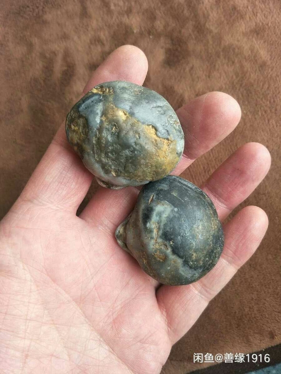 化石.文玩化石.化石.白垩纪化石.手把件....