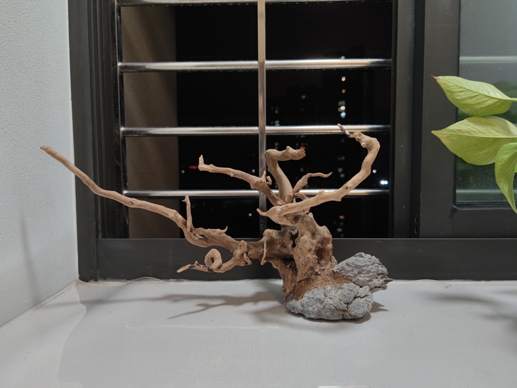 杜鹃木沉木鱼缸摆件水草缸造型木