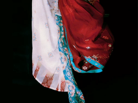 重回汉唐汉服 汉服花想容颜唐制背子齐胸襦裙...