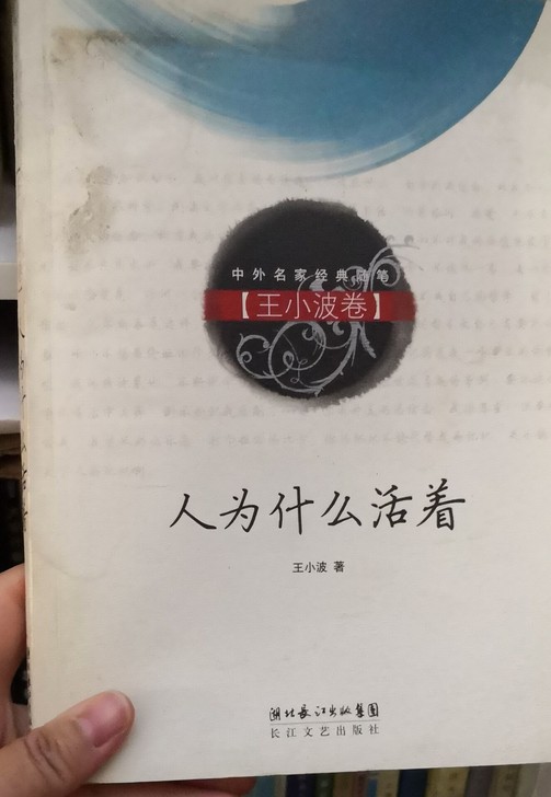 王小波，沈从文，余华，鲁迅，朱自清，钱钟书...