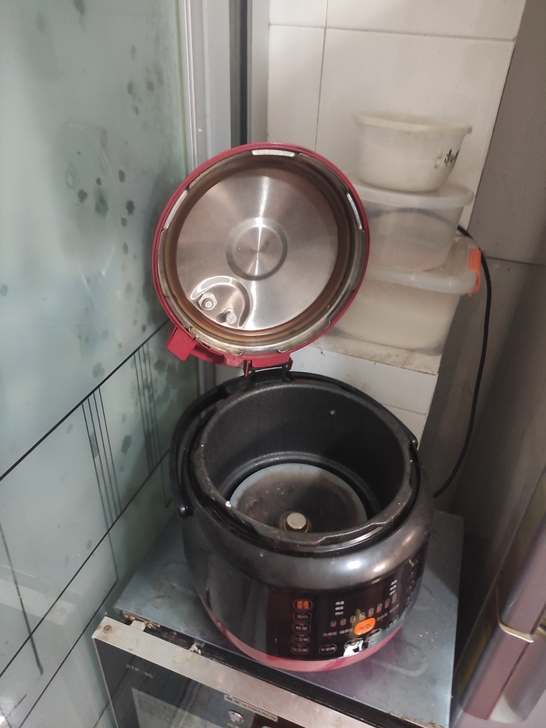 九阳电压力锅。搬家处理。