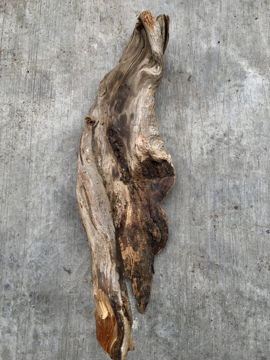 崖柏骨料纹理带油洁晶  果香味 2.2斤