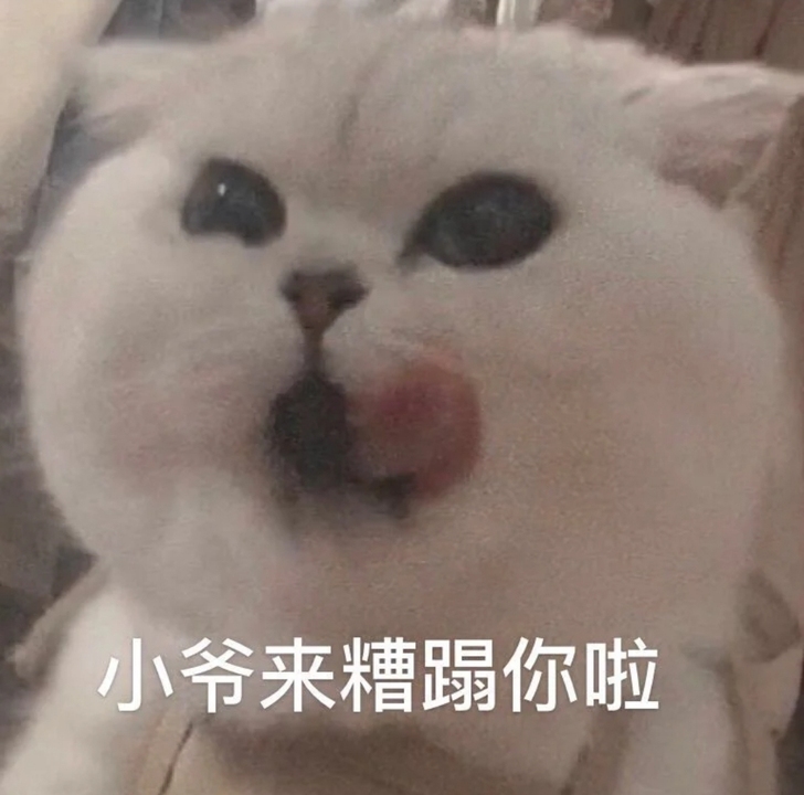 妹子专拍