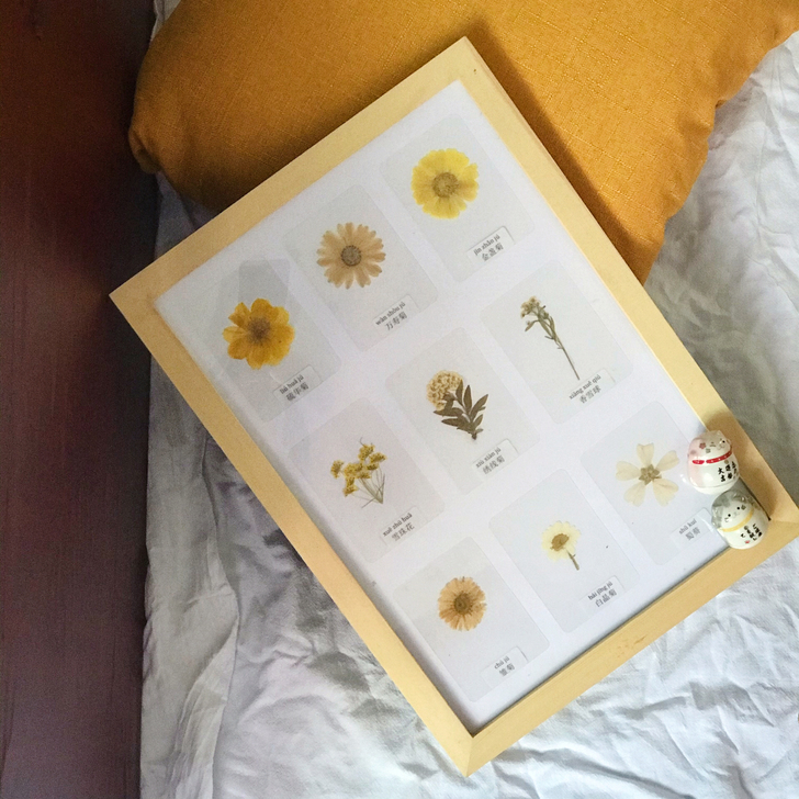 干花标本画