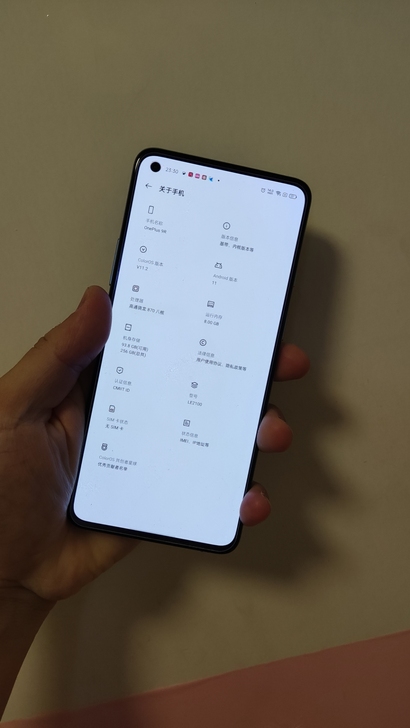 一加9R国行8+256G
