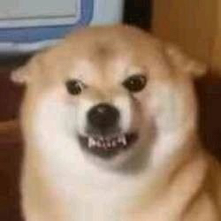 出 杜小喵白芭蕾 bjd6分娃衣套装