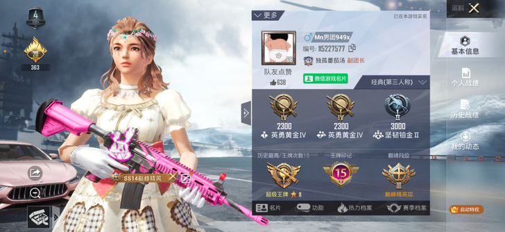 精英和平 代 或者 陪玩 吃鸡 代 上分 ...