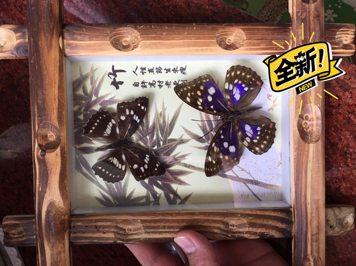 闲置蝴蝶标本一个,,因二手出售,看清下单,...