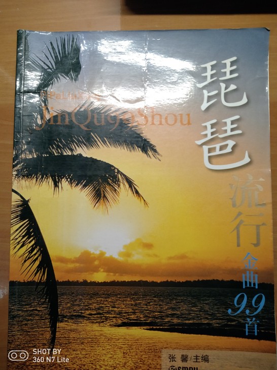 琵琶流行金曲99首   20写有两字（有琵...