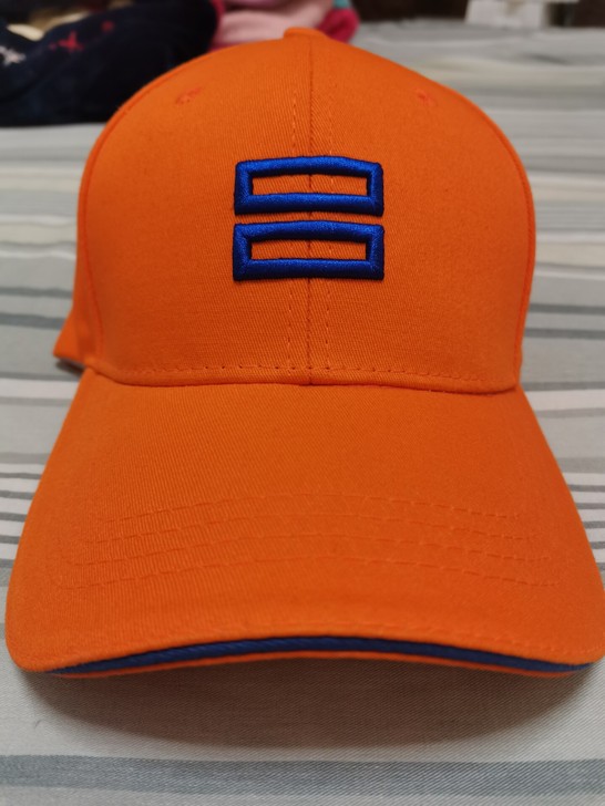 棒球帽，太阳帽，买来一次没戴过。标签还在，...