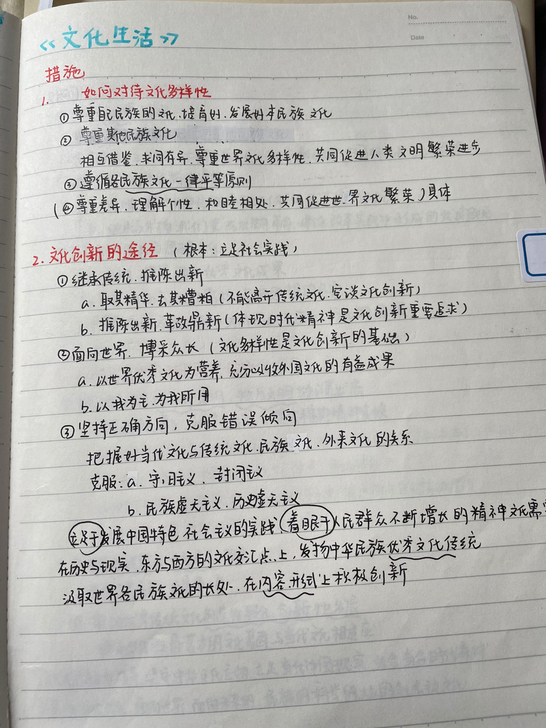 高三政治笔记 亲手整理 包括错题和知识体系