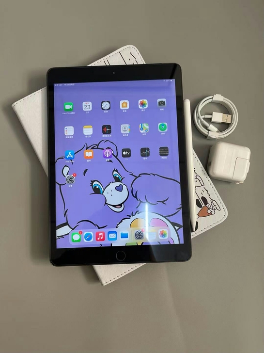 个人自用，转95新2019ipad苹果20...